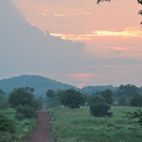 West Africa Semester: Rhythms of Senegal